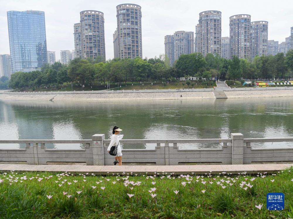 金沙总站15送35